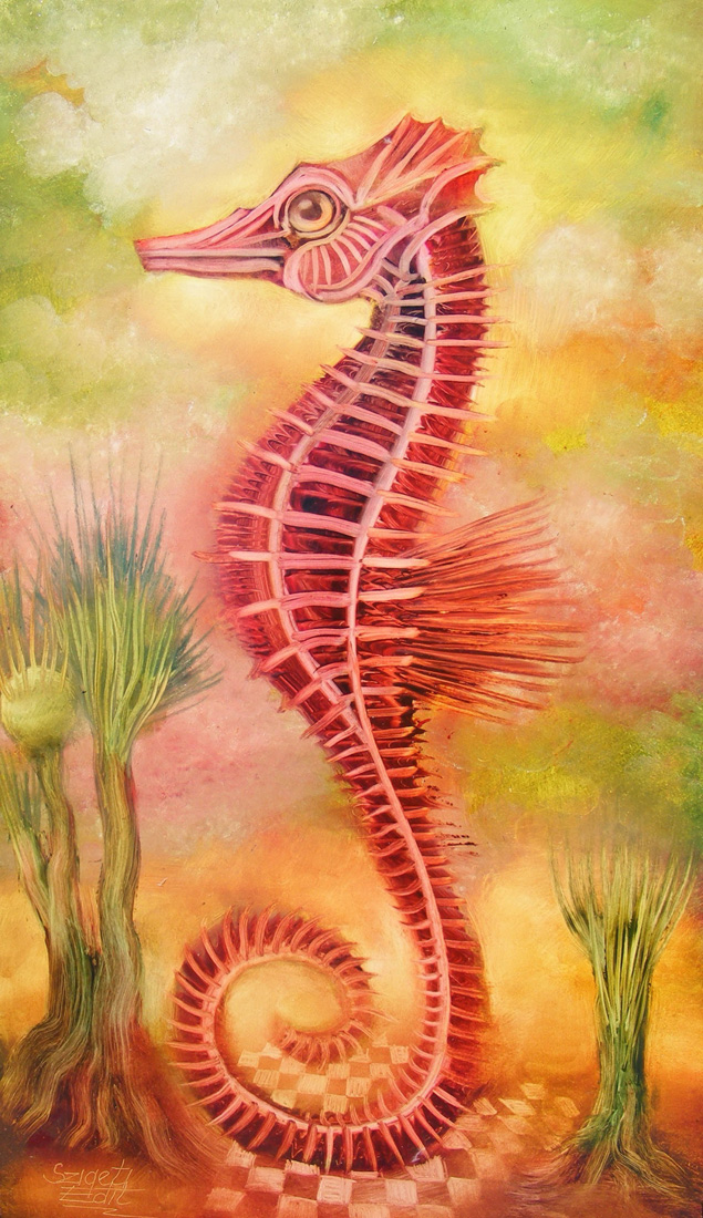 304 Jack the seahorse 25x40cm